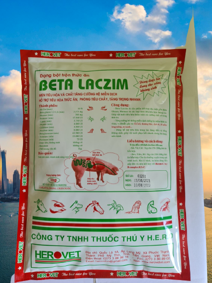 BETA LACZIM - Men tiêu hóa cao cấp. Dùng chung được với kháng sinh!